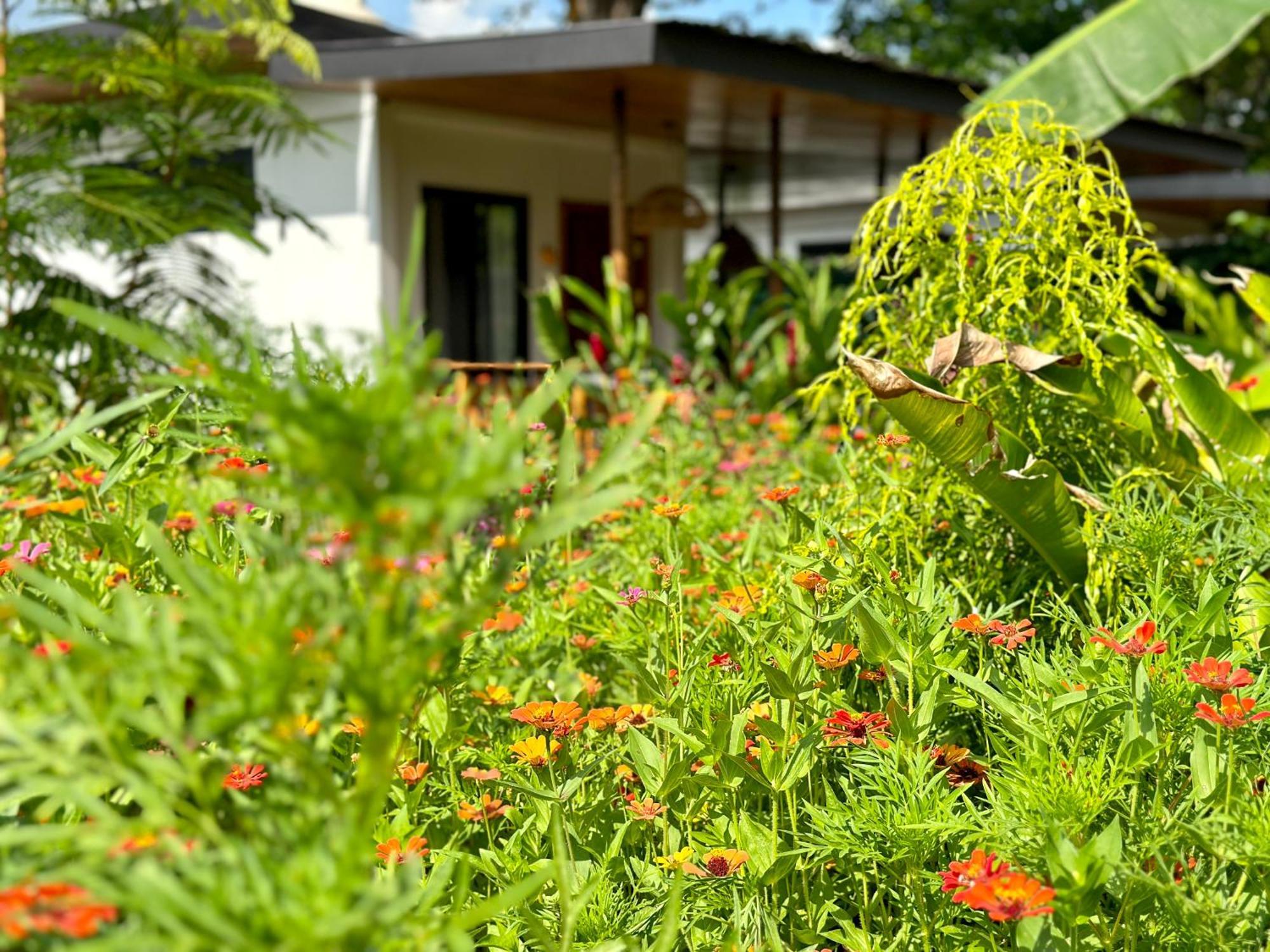 Almendros Eco-Villas La Fortuna Exteriér fotografie